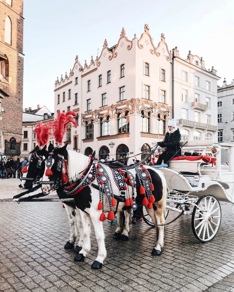 Processed with VSCO with a6 preset