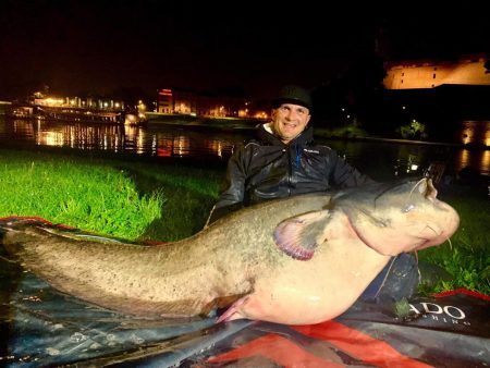 17d363c0-1c17-4d9b-ac91-1d609a723725