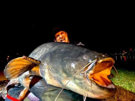 3833d71e-b479-48b5-8ab9-eeb0b261e3cd