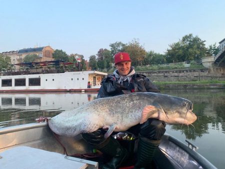 ae8586b6-18c1-4410-8e67-7110ae369395