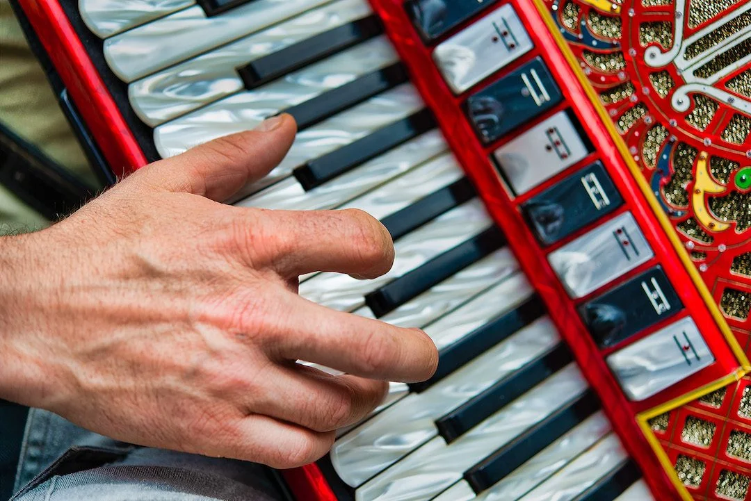 Detail of a popular folk accordion player