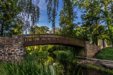 shutterstock_1312815767-1