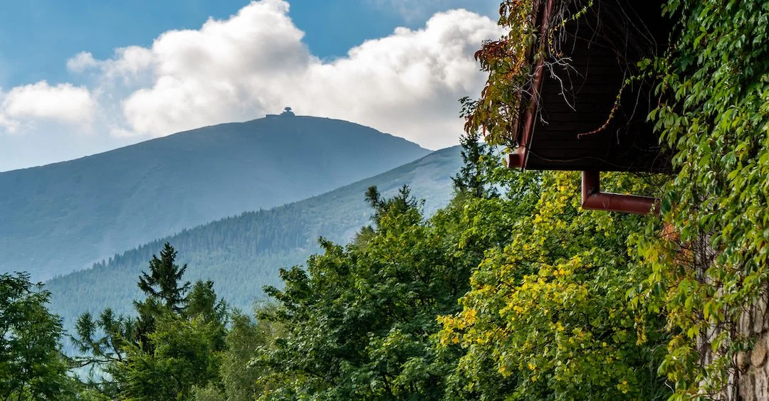 shutterstock_1508579651