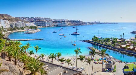 Anfi beach with palm trees – Island of Gran Canaria, Spain