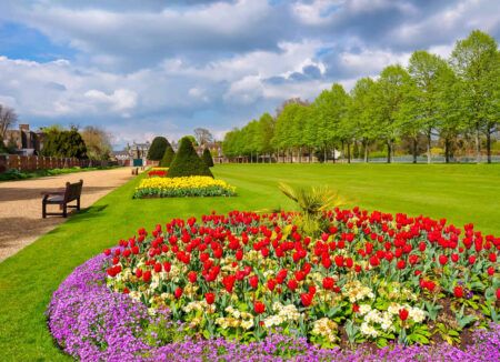 Hampton Court Garden