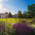 colorful flowers in the city of Hanau – Germany
