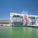 Lisbon Oceanarium
