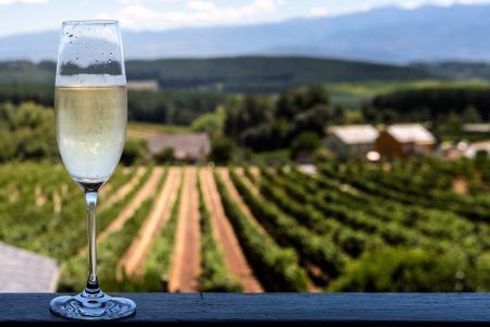 Chilled champagne glass with blurry vineyards background