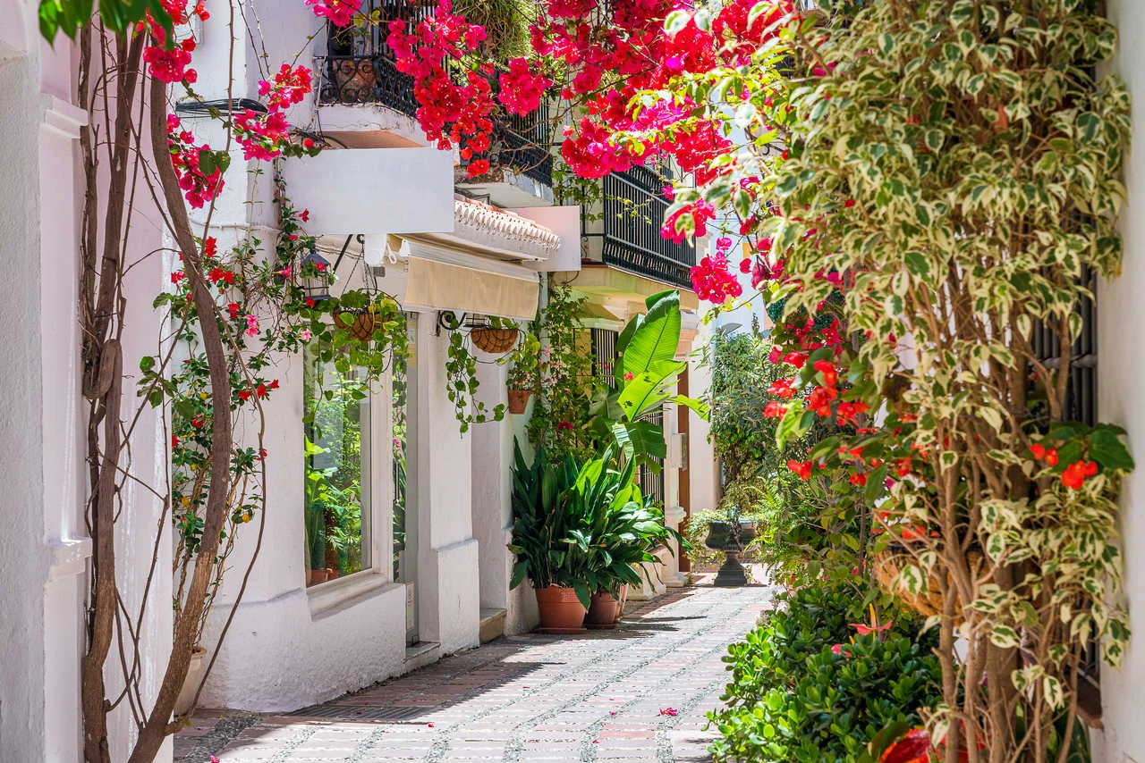 A picturesque and narrow street in Marbella old town, province of Malaga, Spain