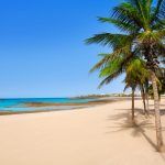 Arrecife Lanzarote Playa Reducto beach tropical palm trees at Canary Islands