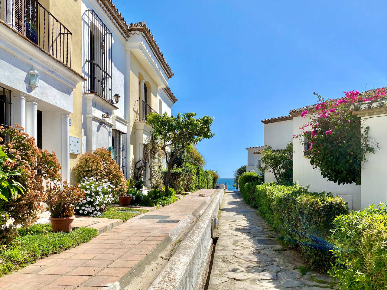 Private Estepona to Malaga Airport Transfer Better then a taxi