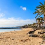 Flamingo beach with palm trees in Playa Blanca holiday village on coast of Lanzarote island