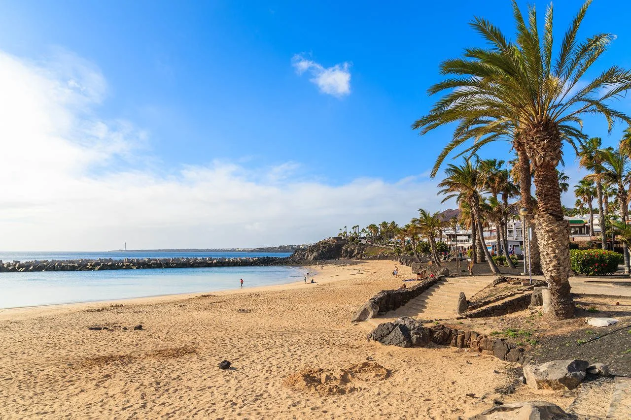 Flamingo beach with palm trees in Playa Blanca holiday village on coast of Lanzarote island