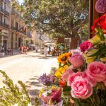 Flowers in Alameda Principal, Málaga city center