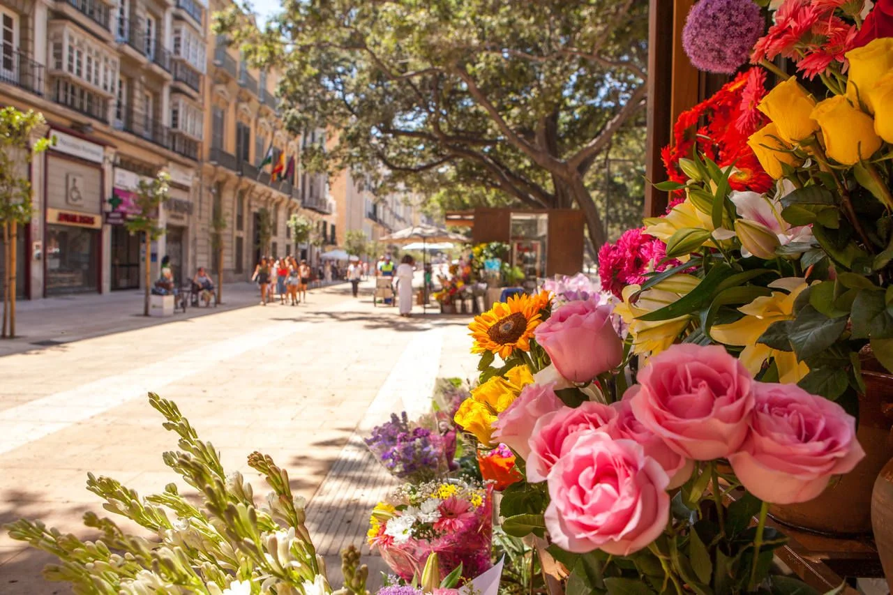 Flowers in Alameda Principal, Málaga city center