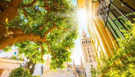 Sevilla wide panorama with Seville Cathedral and Giralda tower