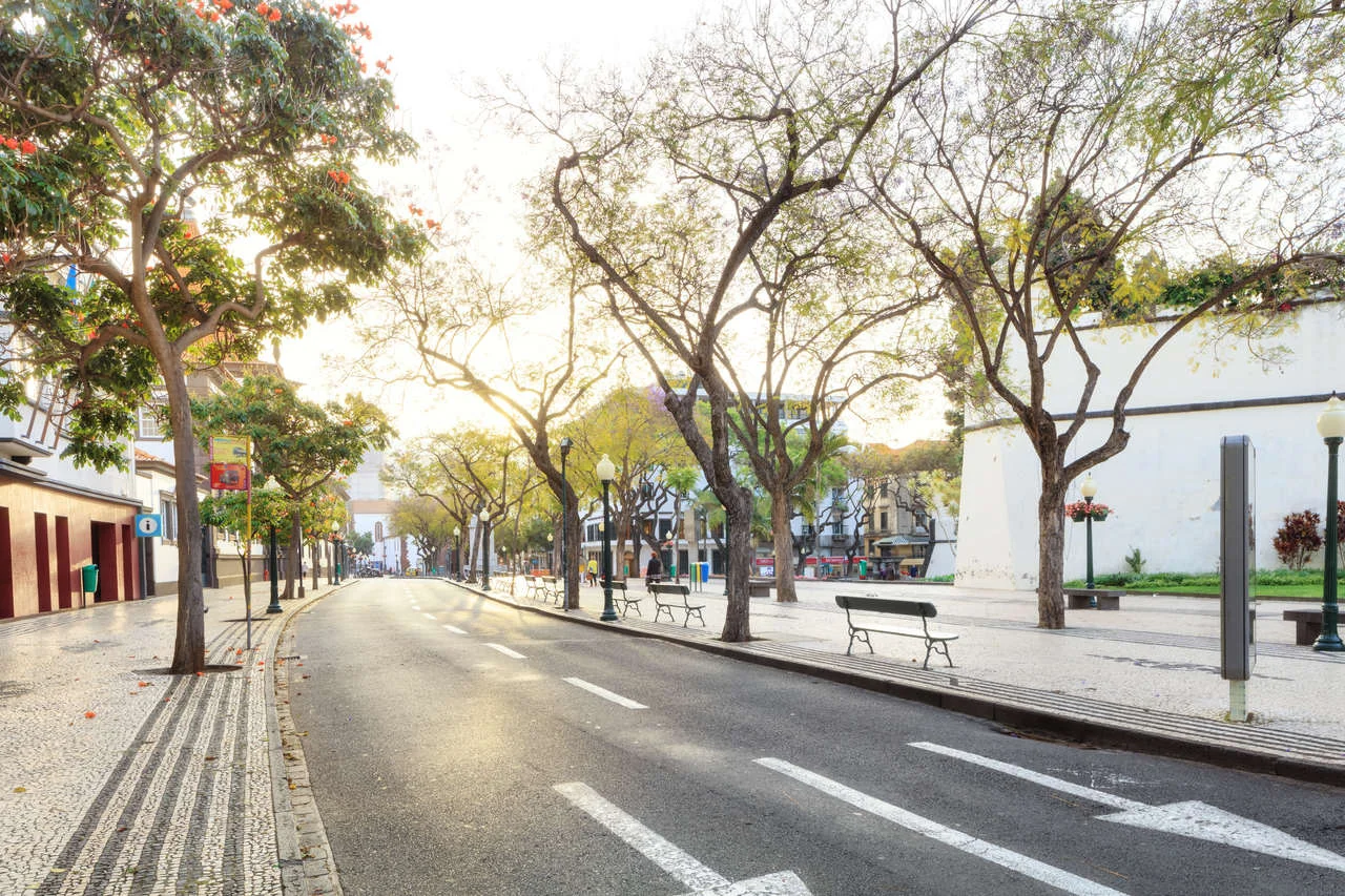 Sunny central street in capital of Madeira Funchal