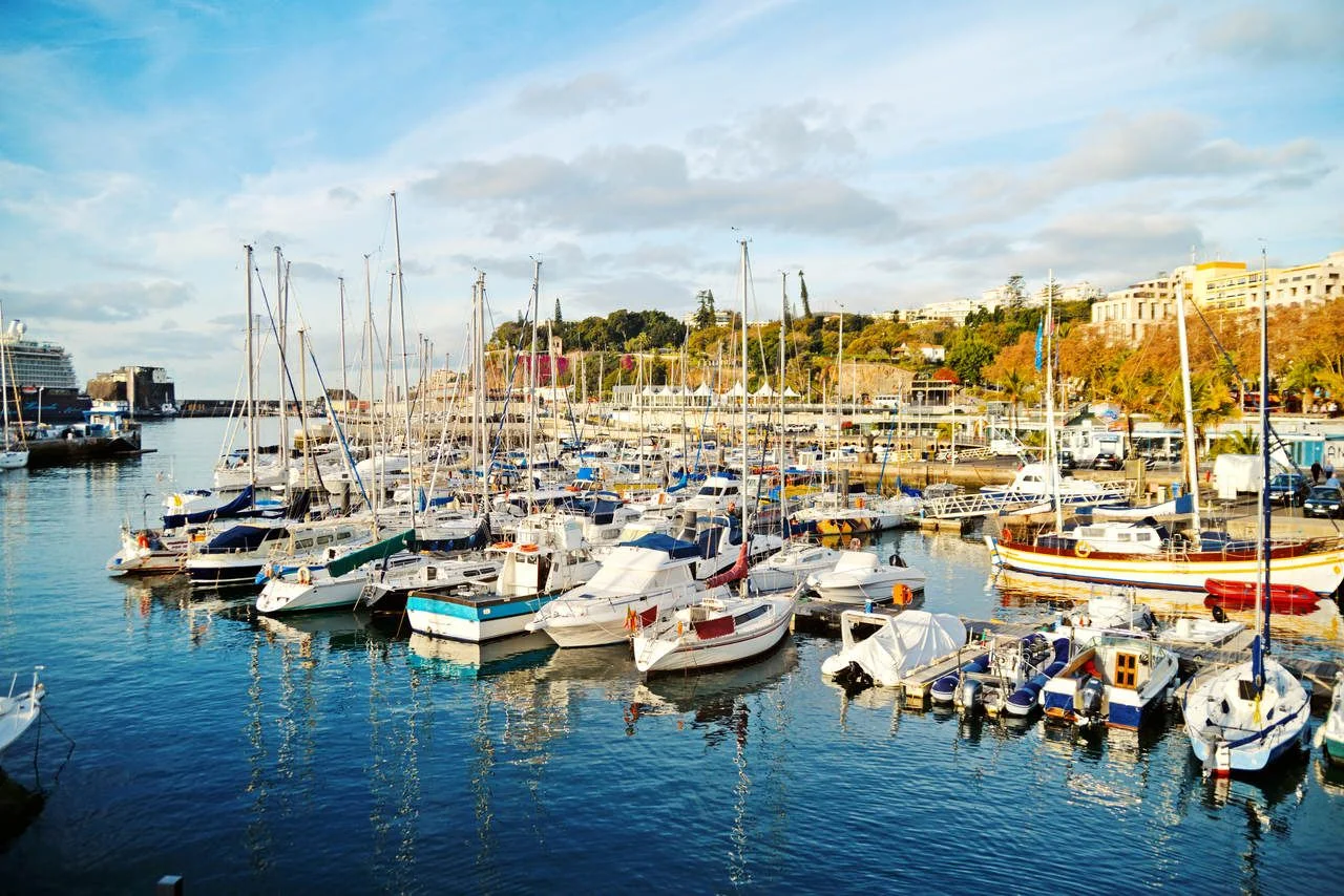 port harbor ships boats madeira