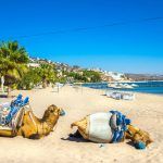 Camel Beach in Bitez, Bodrum, Turkey