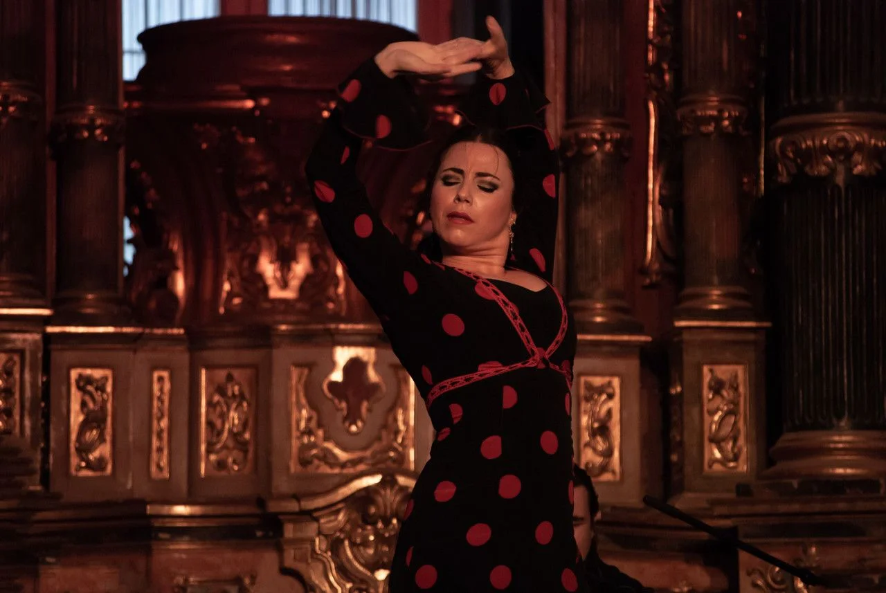 Flamenco show, woman dancer