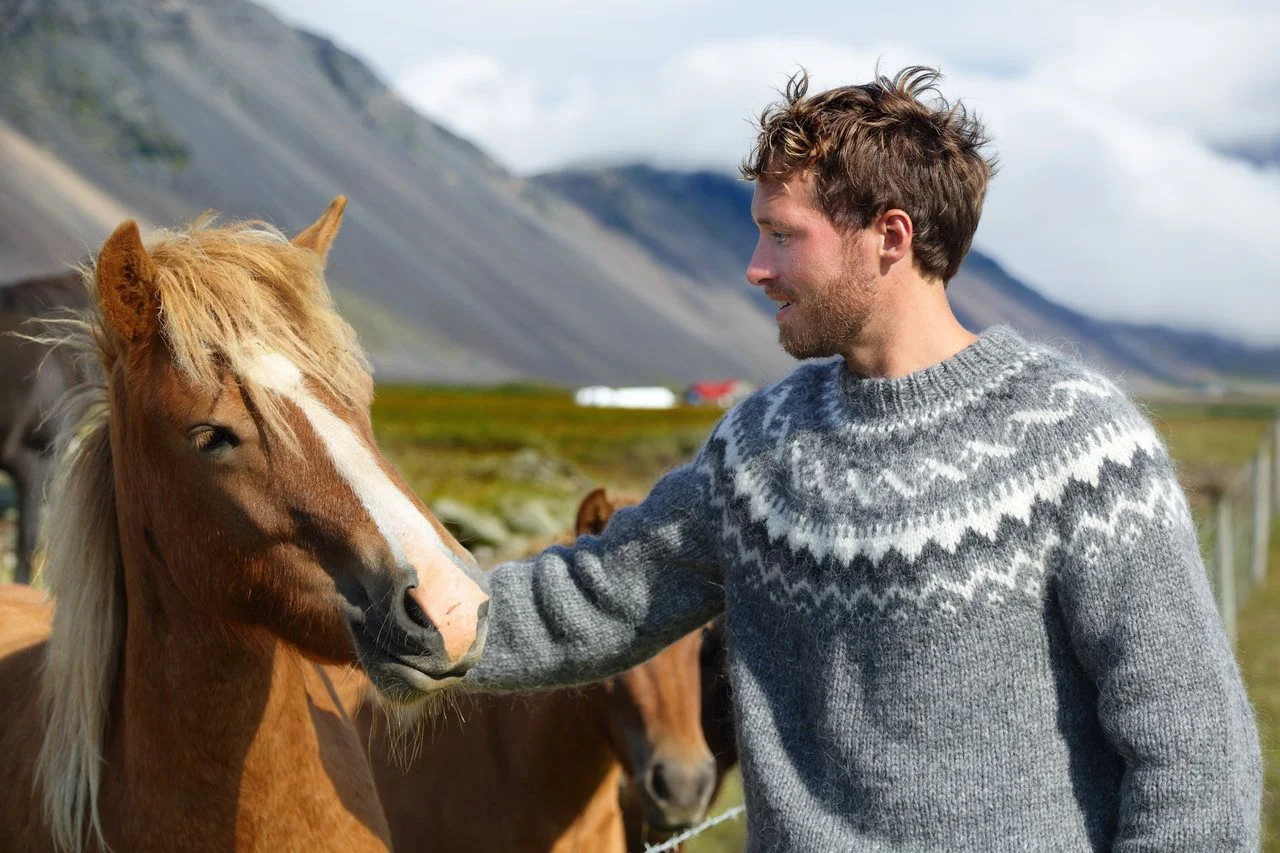 Icelandic horses – man petting horse on Iceland