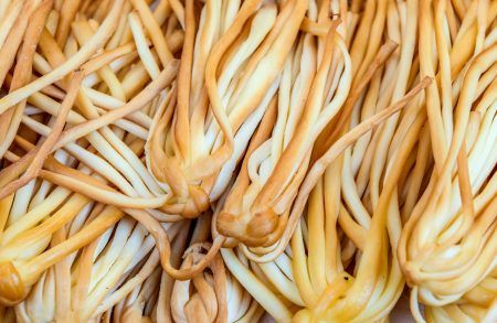 Traditional smoked cheese made of salted cow milk