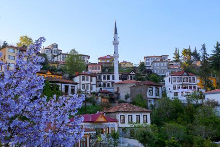 Old trabzon houses turkey