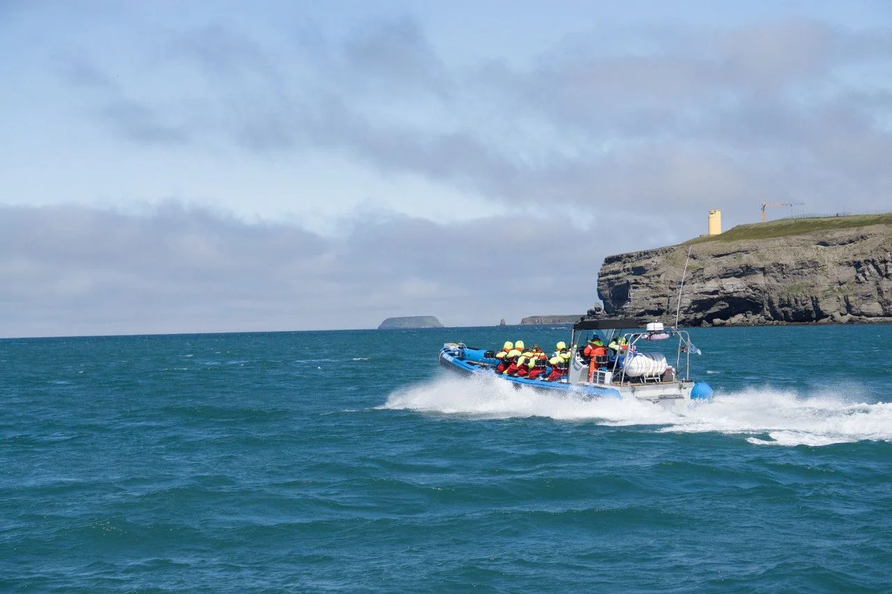 Whale Watching Boat in the Fjords of Husavik Iceland