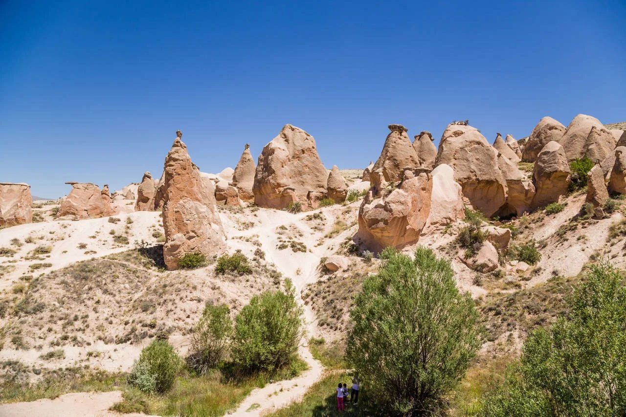 Cappadocia, Turkey. The picturesque Devrent Valley with figures of weathering