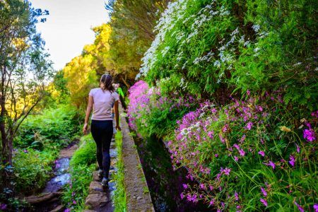 Hiking Levada trail 25 Fontes in Laurel forest – Path to the famous Twenty-Five Fountains in beautiful landscape scenery – Madeira Island, Portugal