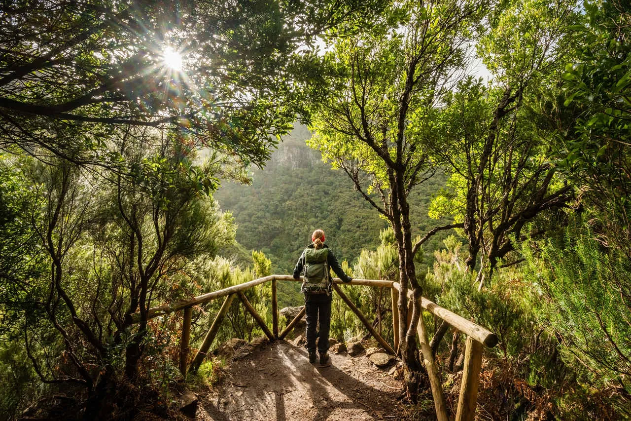 Hiking in Rabacal forest, Madeira Island, Portugal