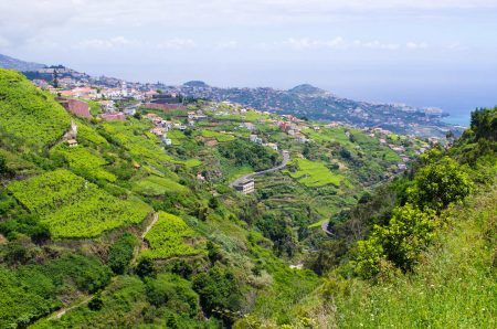 Wide view from Levada do Norte, Madeira island, Portugal
