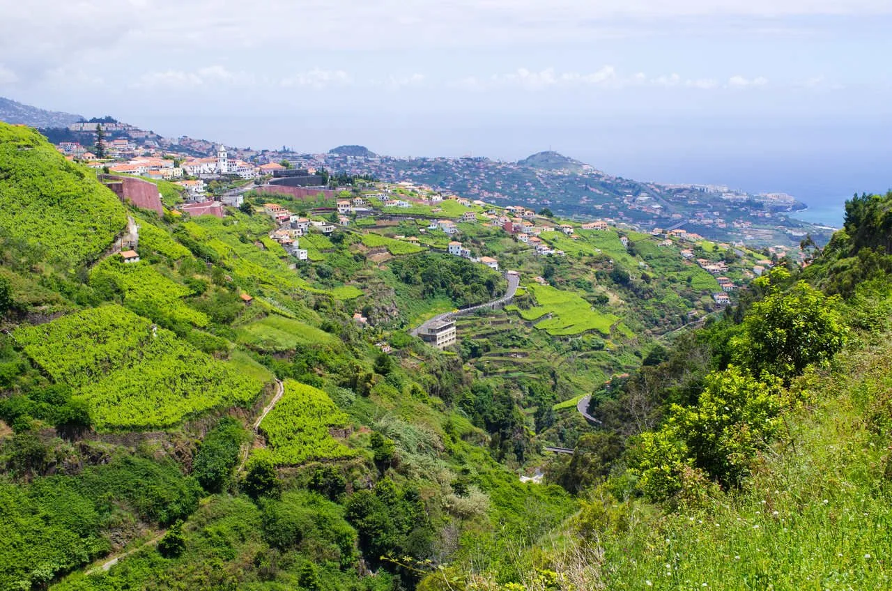 Wide view from Levada do Norte, Madeira island, Portugal
