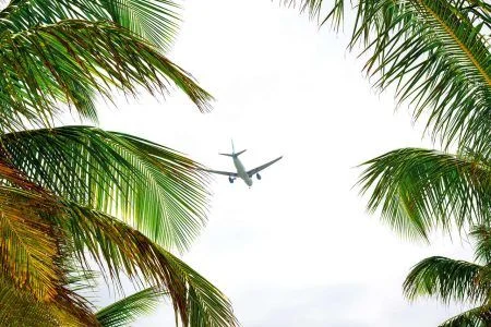 The plane leaves Punta Cana