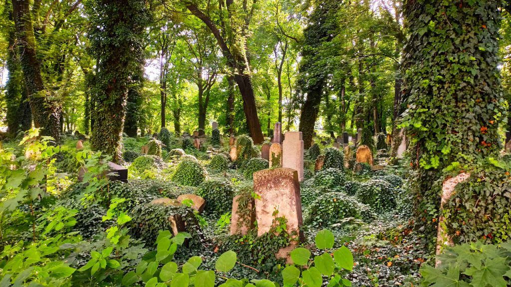New Jewish Cementery, Kazimierz Krakow, Poland