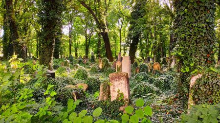 New Jewish Cementery, Kazimierz Krakow, Poland
