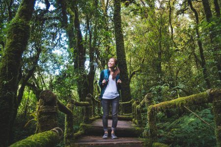 Beautiful Asian woman trekking in the forest while smiling and looking at the environment. Trekking, nature, clean environment concept.
