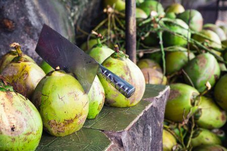Coconuts in Market of Bangkok ( Thailand , Asia )