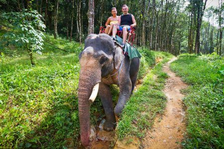 Elephant trekking in Khao Sok National Park, Thailand