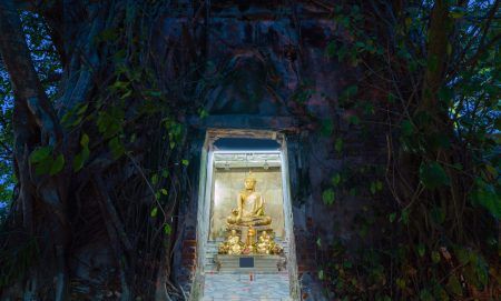 Golden Buddha statue with old brick wall and old tree roots through window at night in Wat Bang Kung in Samut Songkhram district, Thai