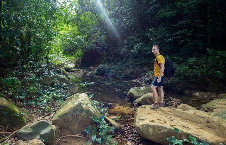 Man standing in the Jungle