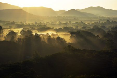Sunrise in winnter season at Doi Saket , Chiang Mai Thailand