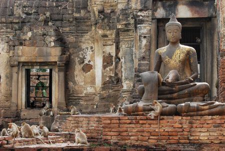 The Monkeys play and live in the ruin temple and buddha statue in Lopburi, Thailand
