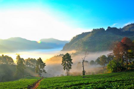 View of Morning Mist at doi angkhang Mountain, Chiang Mai, Thailand