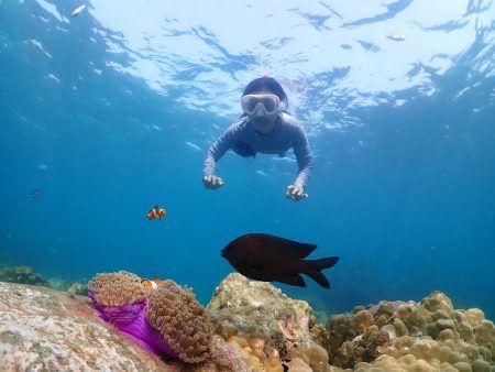 Young femal diving with snorkel and fins to see nemo fish and coral at Samaesarn Island of Thailand
