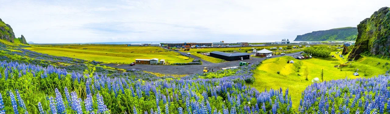 View of area with basalt stacks Reynisdrangar, black sand beach near Vik, Vik city, camping, and lupin flowers, South Iceland, summer time