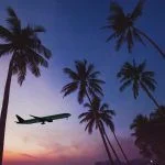 plane taking off from an airport in a tropical country, silhouette of a plane in the sky with exotic palm trees