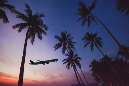 plane taking off from an airport in a tropical country, silhouette of a plane in the sky with exotic palm trees