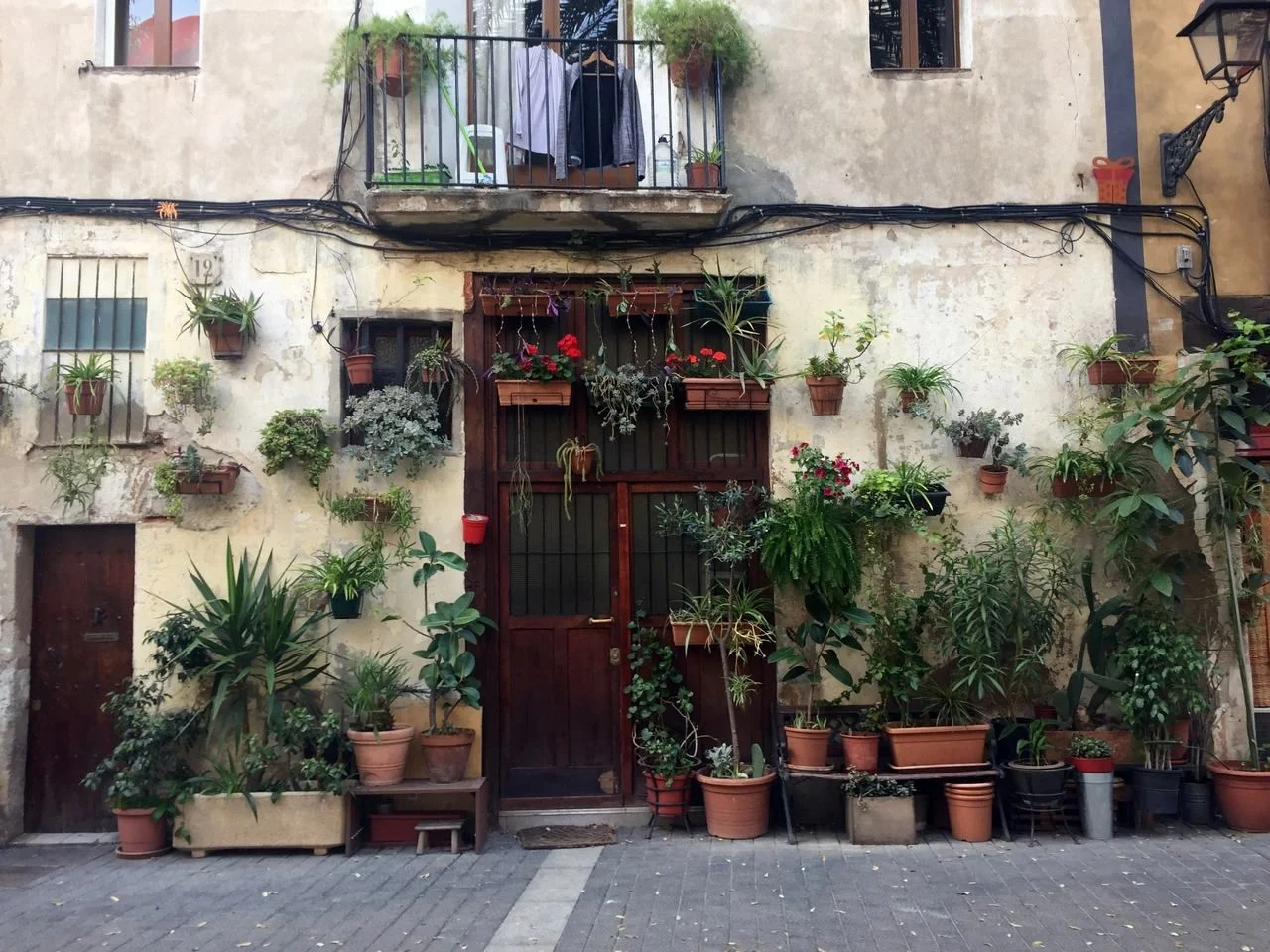 Barcelona urban garden