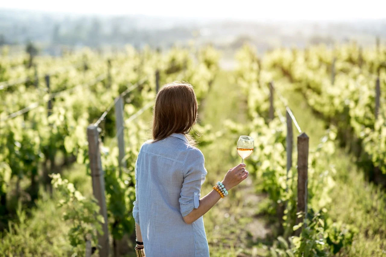 Young woman with wine glass standing at beautiful vineyard at sunset time